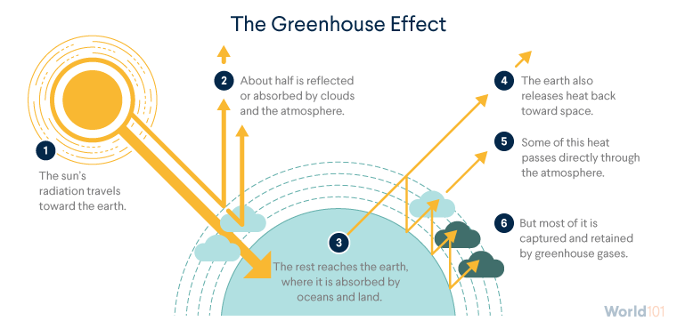 Briefly discuss the Greenhouse effect on the earth. Explain how globalization is responsible for large scale disruption of ecosystems