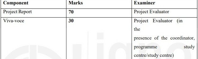 How to write IGNOU MEVP 11 Synopsis & Project Report 
