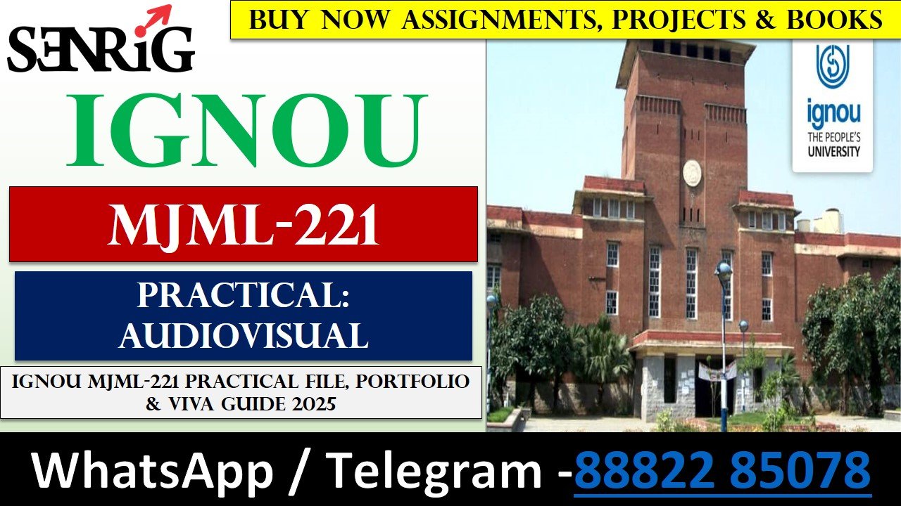 MJML-221: Practical: Audiovisual